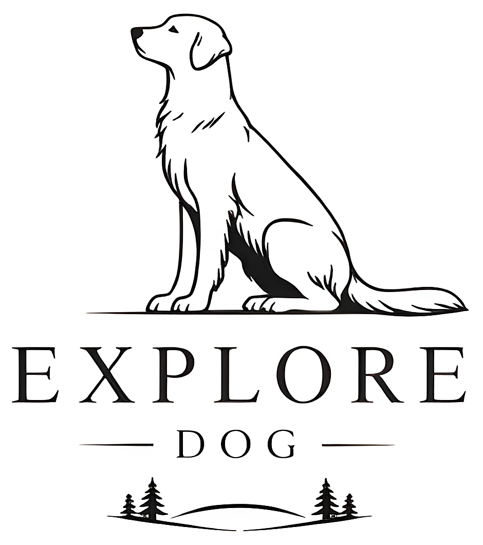 Explore Dog — création de site web pour Balades canines, réalisé par Westeo Studio (visuel 4)