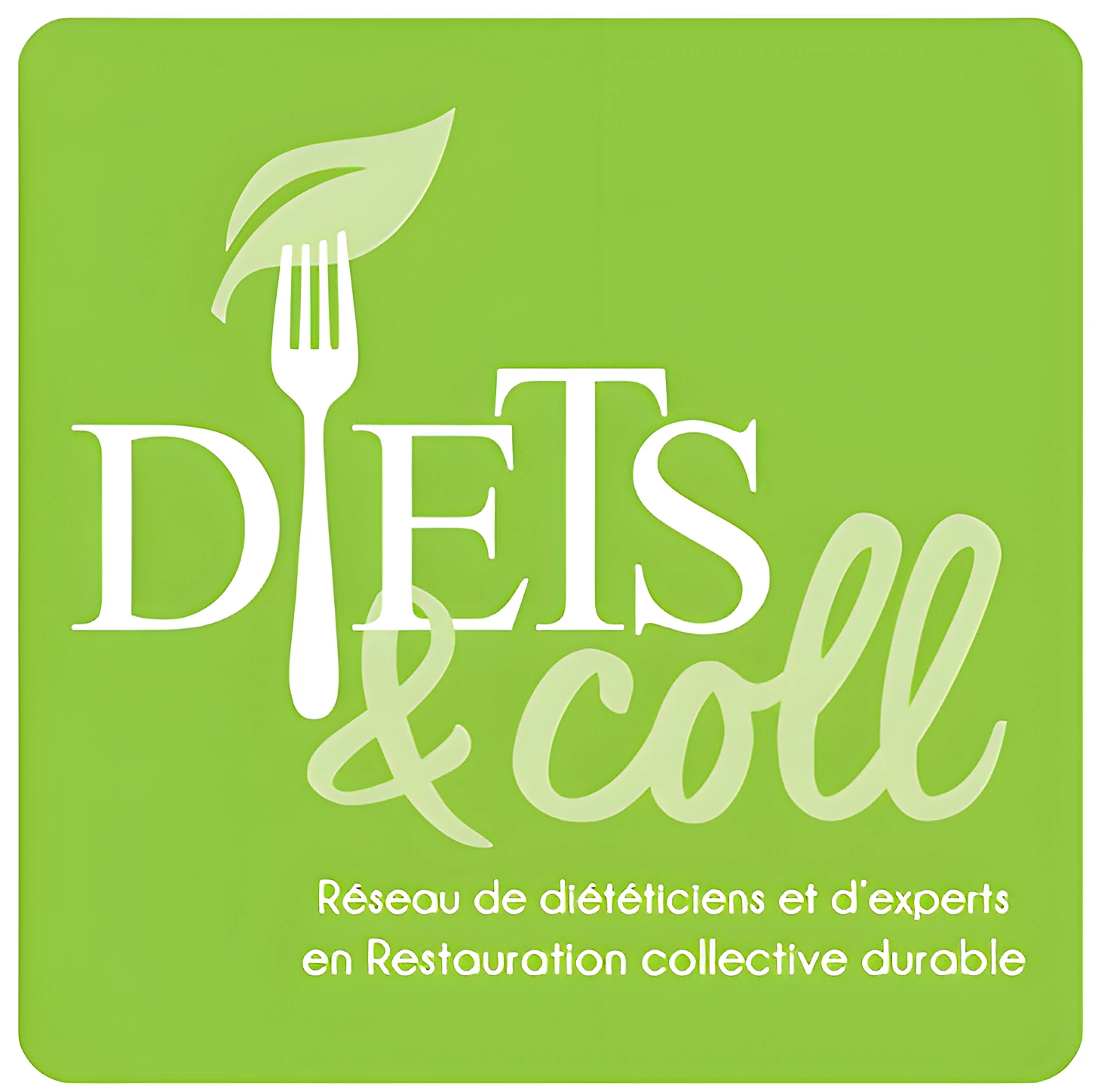Diet's & Coll — création de site web pour Réseau de diététiciens, réalisé par Westeo Studio (visuel 4)